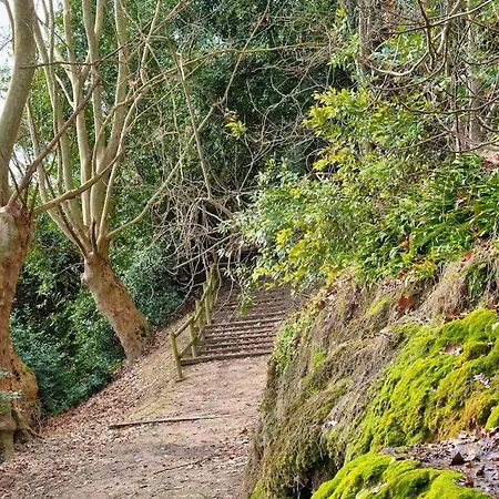 Villa Abbaye De Clairac (Lot-et-Garonne)